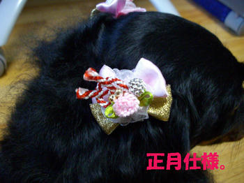 091231_3.jpg