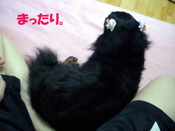 091231_4.jpg