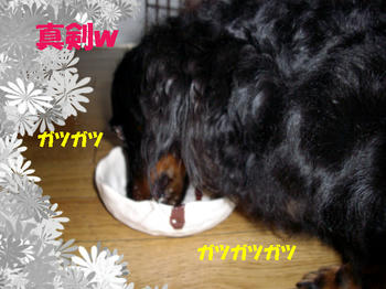 100103_4.jpg
