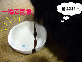 100103_5.jpg