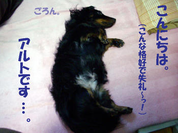 100110_1.jpg