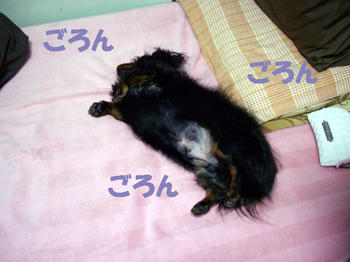 100110_3.jpg