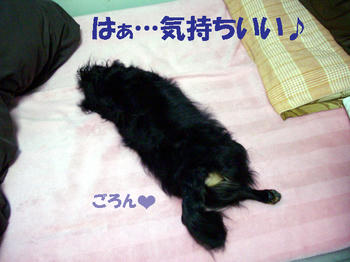 100110_4.jpg