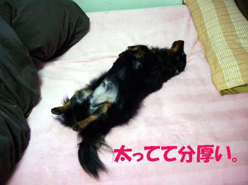 100110_5.jpg