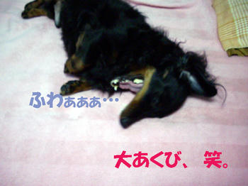 100110_7.jpg