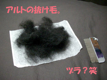 100227_5.jpg