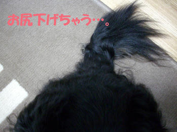 100311_2.jpg