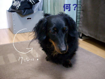100311_3.jpg