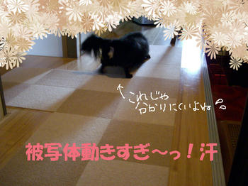 100311_5.jpg