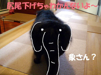 100311_6.jpg