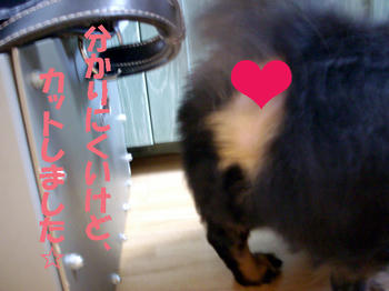 100311_7.jpg