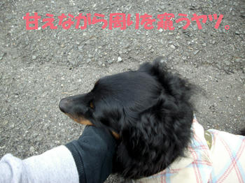100320_3.jpg
