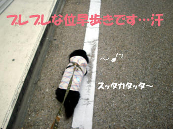 100320_5.jpg