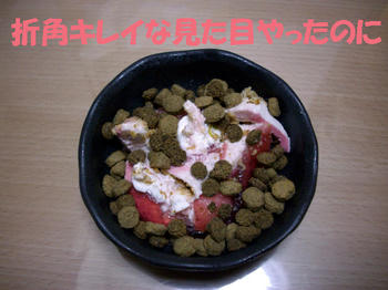 100322_2.jpg