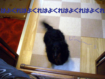 100322_3.jpg