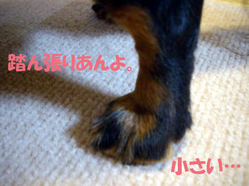 100322_5.jpg
