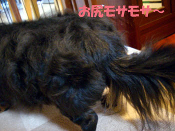 100322_6.jpg