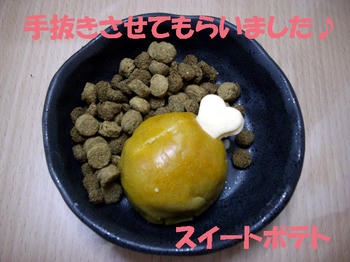 100327_1.jpg