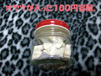 100330_1.jpg