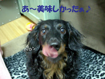 100330_5.jpg