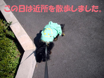 100402_1.jpg
