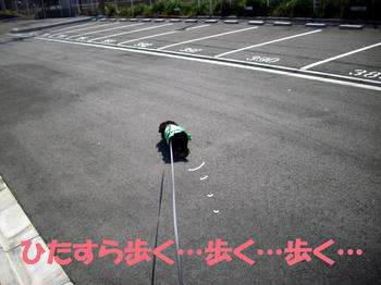 100402_3.jpg