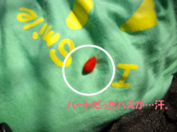 100402_6.jpg