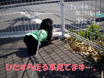 100402_7.jpg