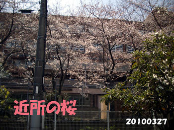 100402_8.jpg