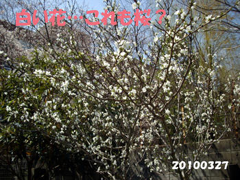 100402_9.jpg