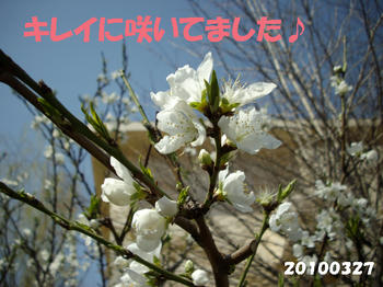100402_10.jpg