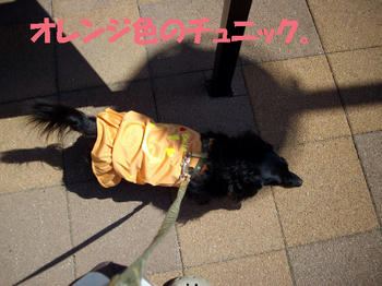 100408_1.jpg