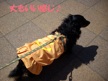 100408_2.jpg