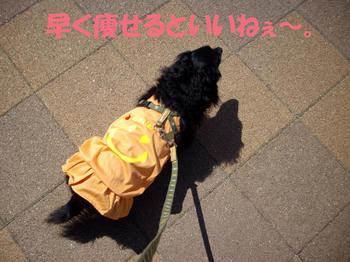 100408_3.jpg
