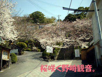 100408_4.jpg