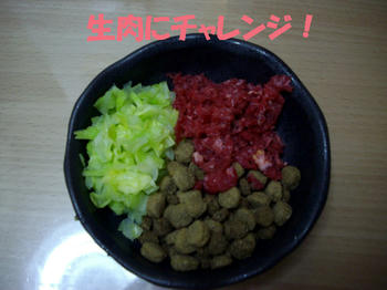 100413_2.jpg