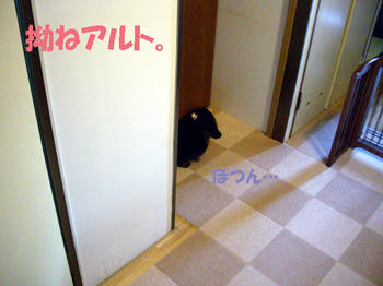 100423_1.jpg
