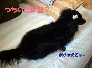 100423_2.jpg