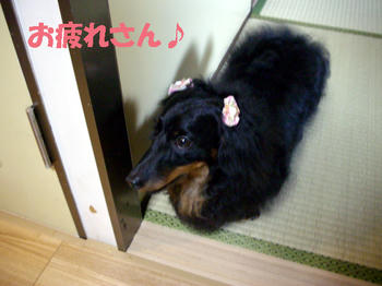 100423_3.jpg