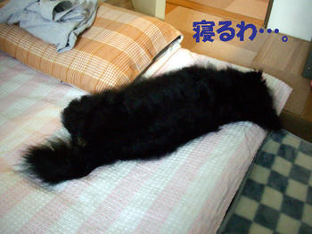 100423_4.jpg