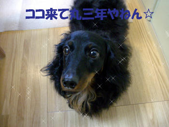 100503_1.jpg