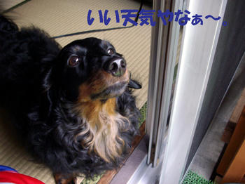 100503_2.jpg