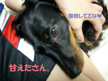100503_4.jpg