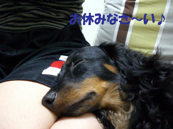 100503_5.jpg