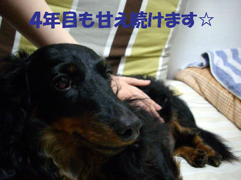 100503_6.jpg