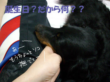 100514_2.jpg