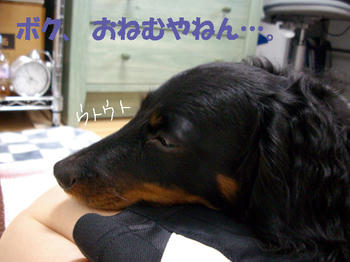 100514_3.jpg