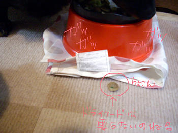 100514_6.jpg