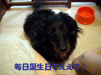 100514_10.jpg