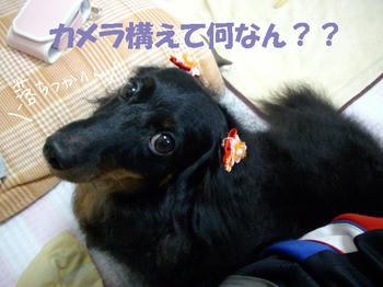 100529_1.jpg